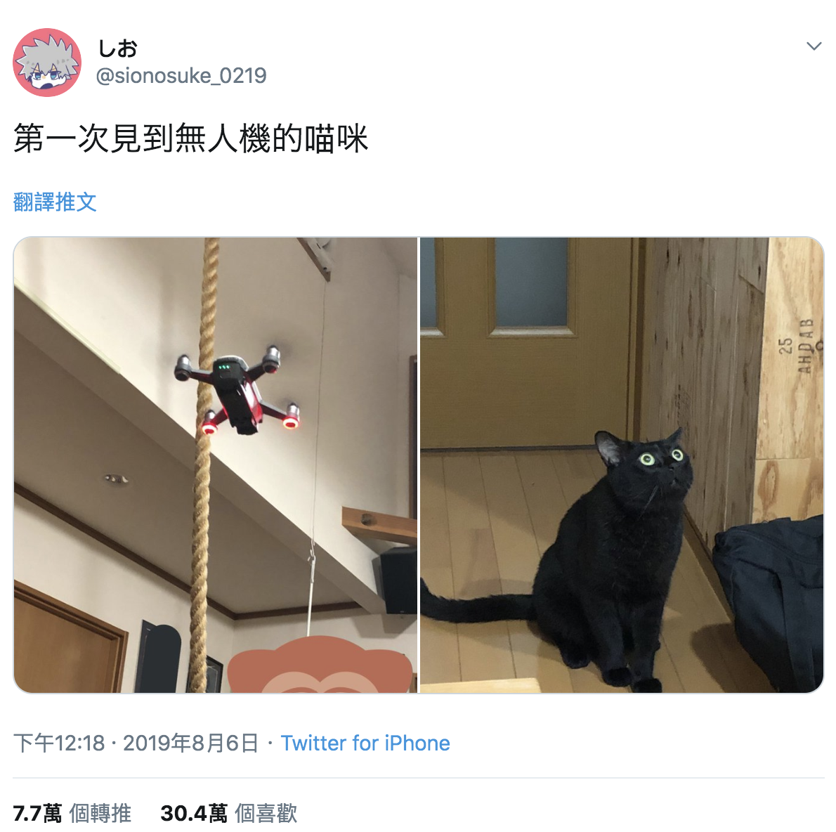 陌生客人来…4只猫咪受惊「全躲柜子里」　网笑：猫咪的防空洞～插图6