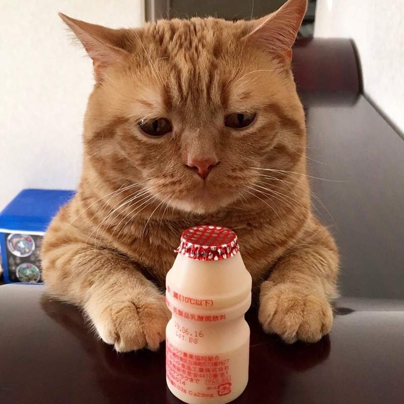 手指鸡嘴狗猜成语_看图猜成语(3)