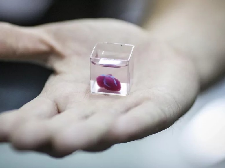 未來的人類有救了！全球第一顆3D打印人工心臟出現了！