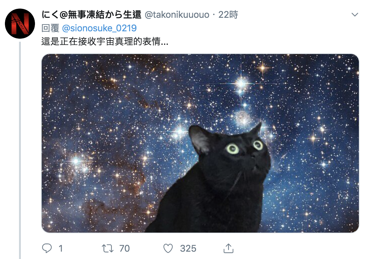 陌生客人来…4只猫咪受惊「全躲柜子里」　网笑：猫咪的防空洞～插图11