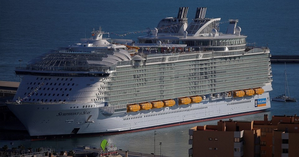 红极一时的英国蓝惊爆「世纪玫瑰毒」 96间加盟店提告 母公司「判赔